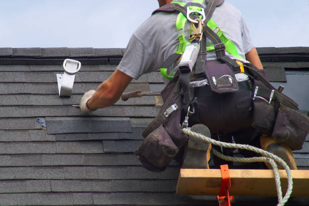 Best Roof Gutter Cleaning  in Nashvle, IL