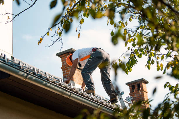 Best Best Roofing Contractors  in Nashvle, IL