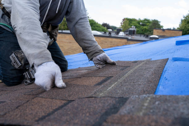 Best Residential Roofing Contractor  in Nashvle, IL