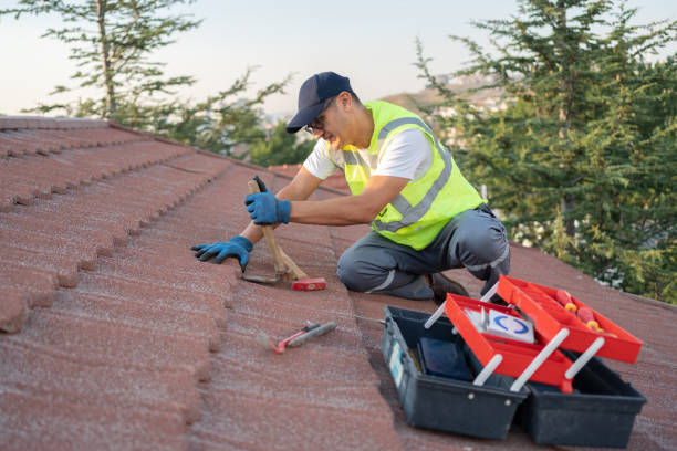 Best Best Roofing Contractors  in Nashvle, IL