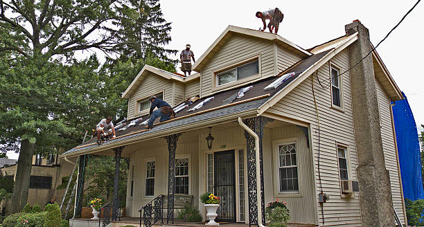 Best Roof Repair Services  in Nashvle, IL