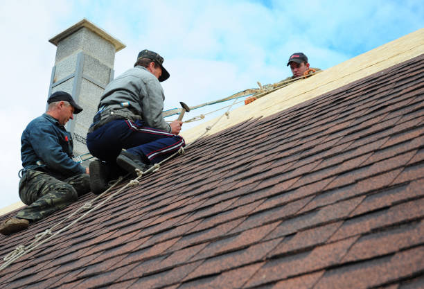 Best New Roof Installation  in Nashvle, IL