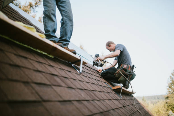 Best Emergency Roof Repair  in Nashvle, IL