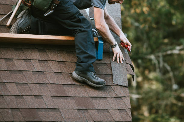 Best Roof Restoration Services  in Nashvle, IL