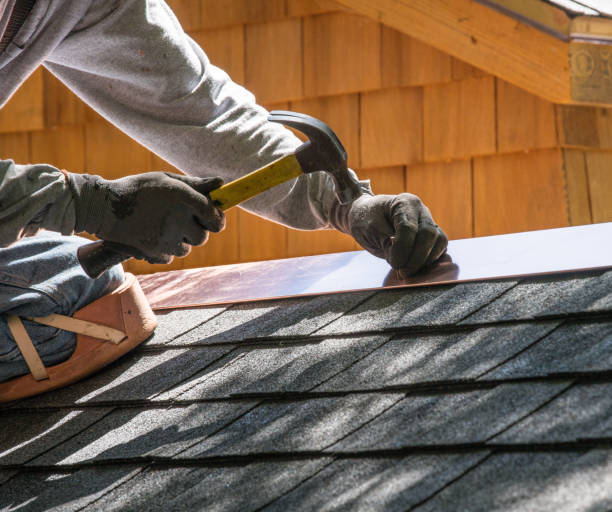 Best Metal Roofing Contractor  in Nashvle, IL